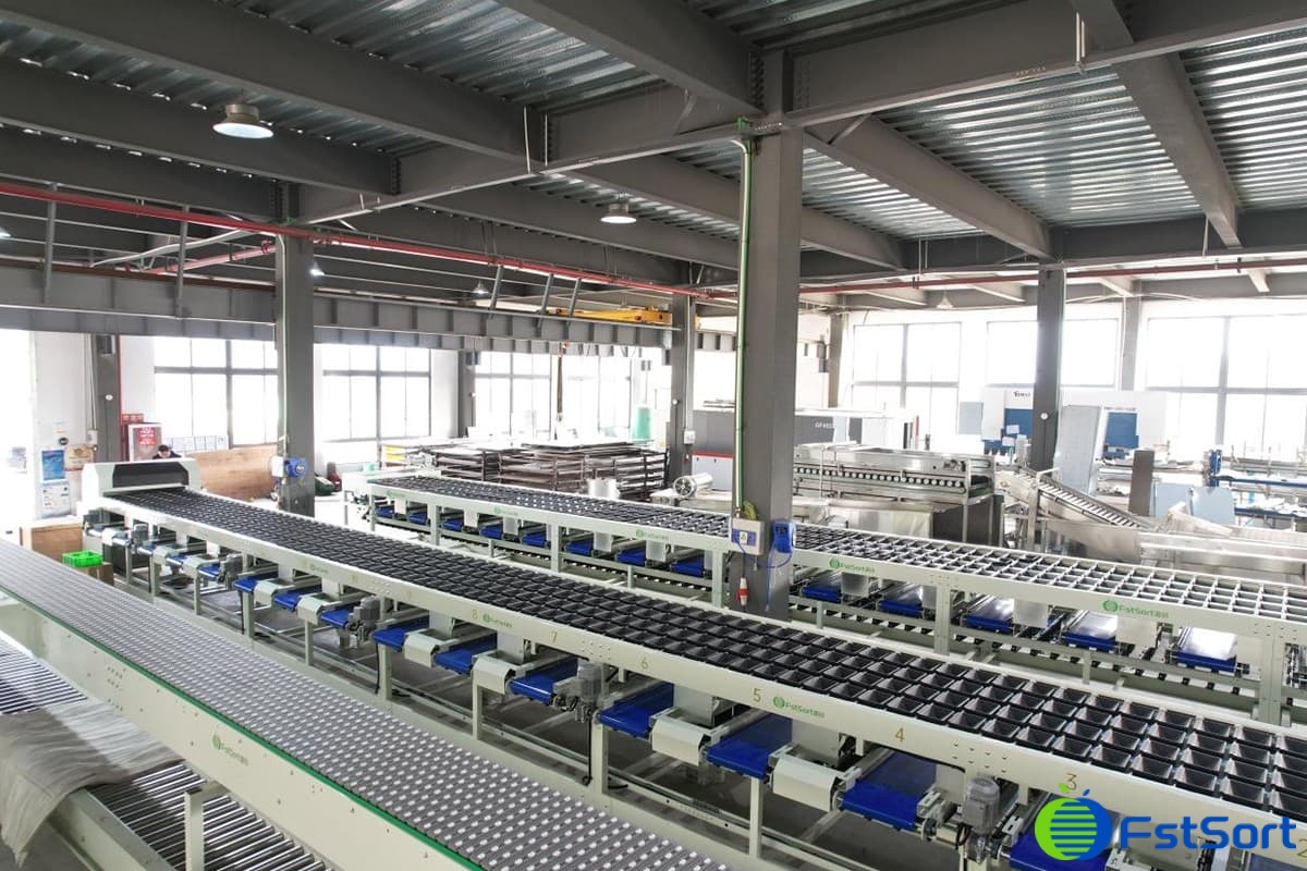 images/1677655783000Inspección de peso y calidad externa1.jpg